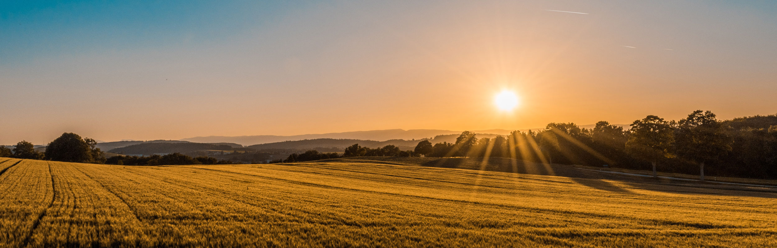 Easy Energy - Clima perfetto